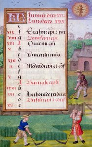 Ms 1058-1975 f6r Taglio dell