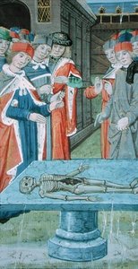 Ms Hunter 9 f.12v Dissezione, da 
