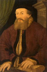 Ritratto di un Uomo, 1551