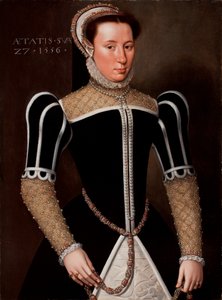 Ritratto di una donna, 1556 da Flemish School