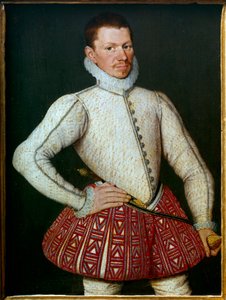 Ritratto di un gentiluomo da Flemish School