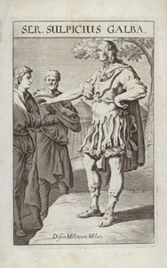 Ser Sulpicio Galba da Flemish School