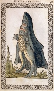 Il vescovo del mare o mostro marino, illustrazione da Omnium fere gentium nostraeque aetatis Nationum Habitus et Effigies di Jean Sluperji, Anversa, 1572 da Flemish School