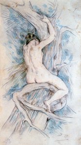 Amadriade