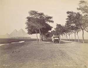 Cairo. Viale delle Piramidi, ca. 1870