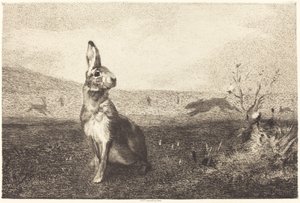 La lepre da Félix Bracquemond after Albert de Balleroy