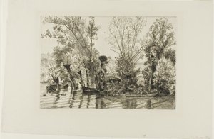 I salici di Mottiaux da Félix Henri Bracquemond