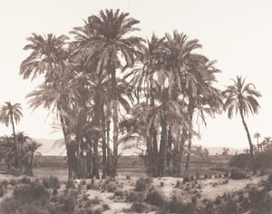 Karnak, Gruppo di Dattieri visto dal Punto A, 1851-52, stampato 1853-54 da Félix Teynard