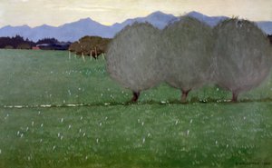 I salici da Félix Vallotton