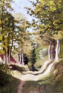 Sottobosco