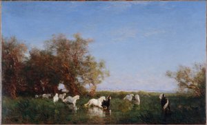 Cavalli selvaggi in Camargue, tra il 1890 e il 1895