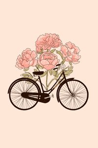 Bicicletta e fiore: Parigi da Florent Bodart