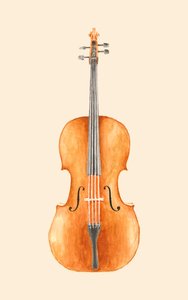 Violoncello