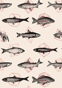 Pesci in Geometrie da Florent Bodart