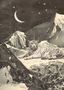 Gigante Tigre Bianca nelle Montagne