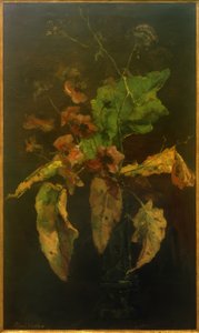 Anemoni e foglie da Floris Verster