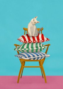 Gatto curioso sui cuscini