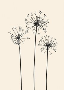Fiori di tarassaco in stile minimalista da Flow Line