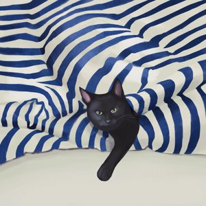 Il gatto nero che sbircia