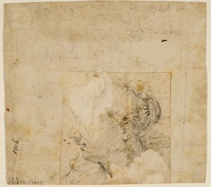 Testa femminile di profilo a sinistra; Schizzo di alberi e edificio da Follower of Jacopo Bassano