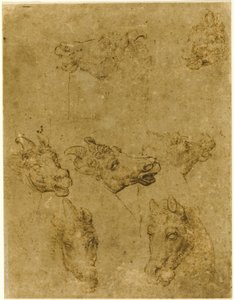 Teste di cavalli e unicorni da Follower of Leonardo da Vinci