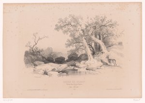 Paesaggio roccioso con acqua e due cervi da Fortuné Ferogio