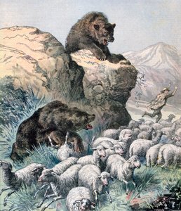Orsi del Cagyre, 1891 da Fortuné Méaulle