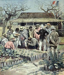 I francesi impartiscono lezioni di agricoltura agli indigeni del Madagascar nel 1897 (Incisione) da Fortune Louis Meaulle
