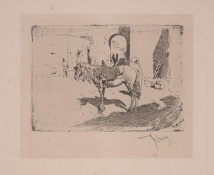 Cavallo del Marocco
