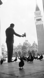 Giappone e Italia: lo scultore Ernesto Michahelles ha detto Thayaht in piazza San Marco a Venezia