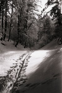 Silenzio e mistero da Fosco Maraini