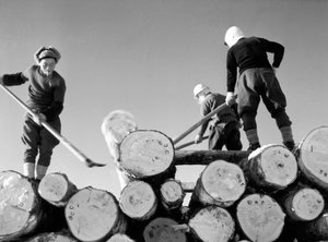 Tagliatori di legno al lavoro