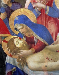 Immagine sconosciuta
