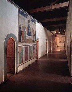 Immagine sconosciuta