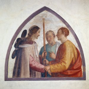 Immagine sconosciuta