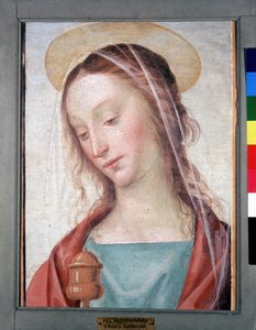Immagine sconosciuta da Fra Bartolomeo