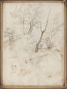 Due frati su una collina