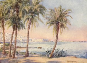 Algeri dal Jardin d