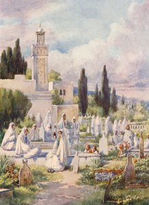 Venerdì al cimitero, Algeri da Frances Nesbitt