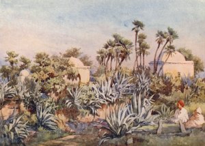 Koubba di Sidi Noumann, Bouzareah