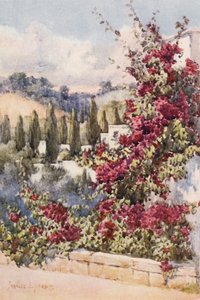 Sul mio Balcone, Algeri da Frances Nesbitt