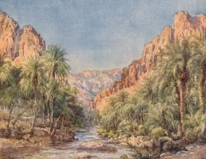 Le porte del deserto da Frances Nesbitt