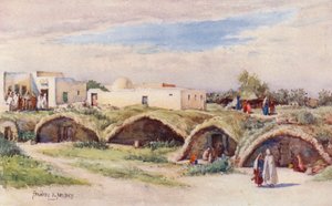 Le antiche cisterne puniche, Cartagine da Frances Nesbitt