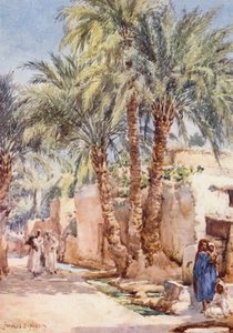 Il Villaggio delle Palme da Frances Nesbitt