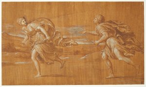 Apollon verfolgt Daphne da Francesco Albani