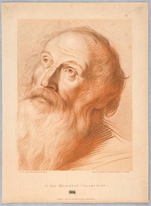 Testa di un Vecchio da Francesco Bartolozzi