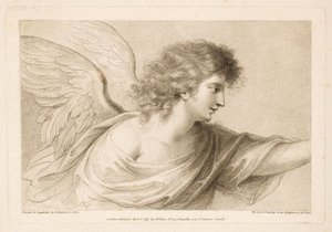 Senza titolo da Francesco Bartolozzi