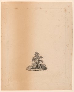Vignetta per "I Giardini" dell