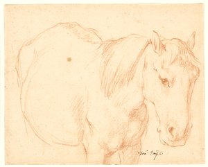 Un cavallo da Francesco Fernandi
