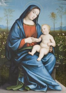 Madonna col Bambino nel giardino delle rose, Raibolini Francesco detto Francesco Francia